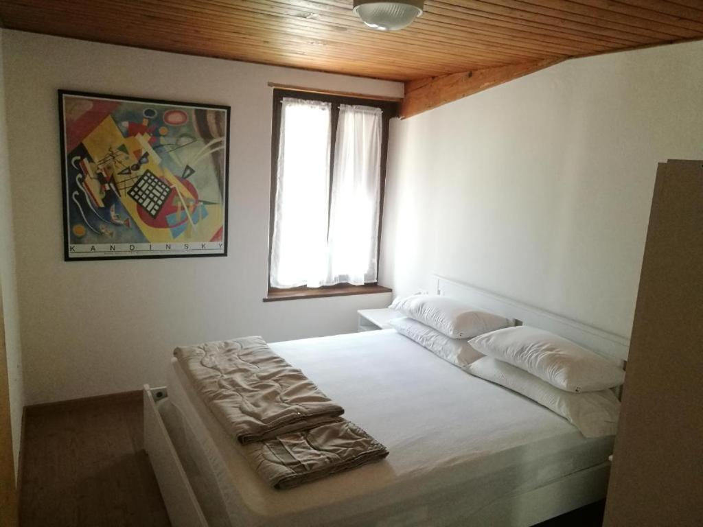 Casa Renzo - Dolomiti - Trentino Apartamento Mezzano Exterior foto
